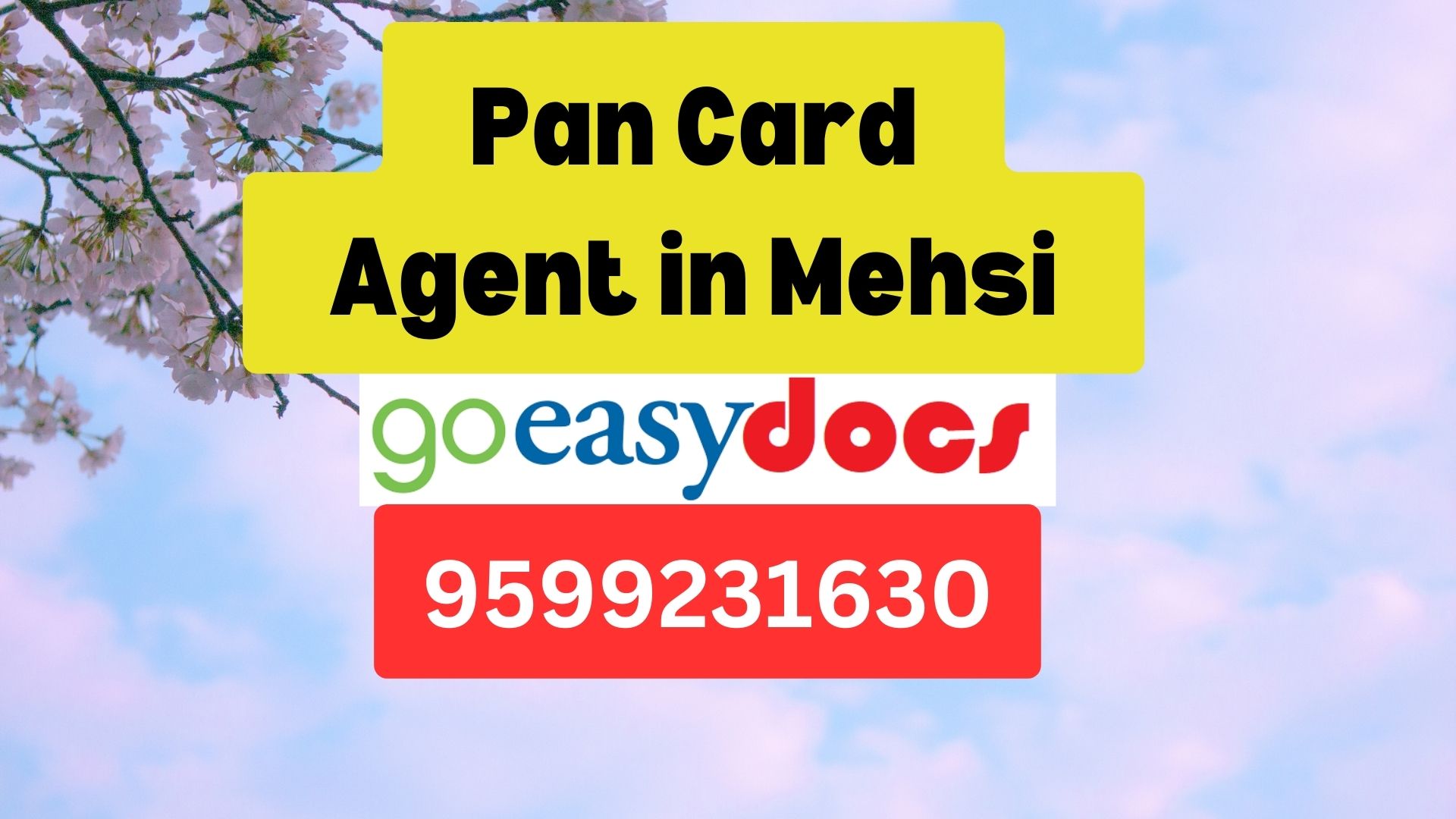 Pan Card Agent Consultant in Mehsi 8851415812