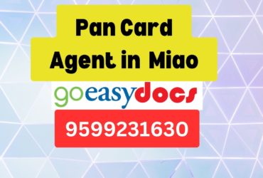 Pan Card Agent Consultant in Miao  8851415812