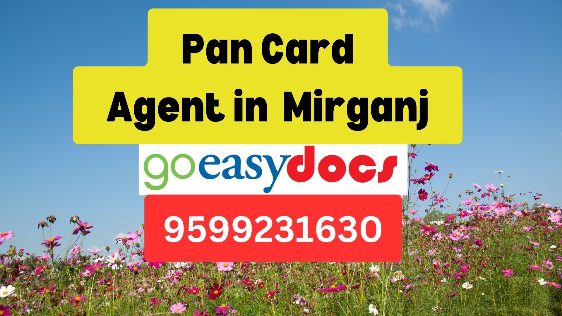 Pan Card Agent Consultant in Mirganj  8851415812