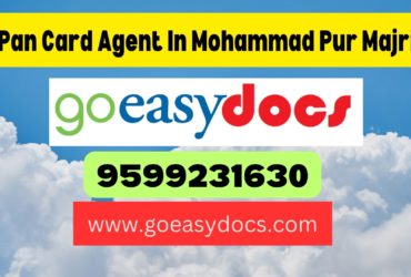 Pan Card Agent Consultant in Mohammad Pur Majri 8851415812