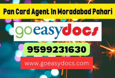 Pan Card Agent Consultant in Moradabad Pahari 8851415812