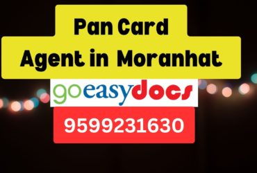 Pan Card Agent Consultant in Moranhat  8851415812