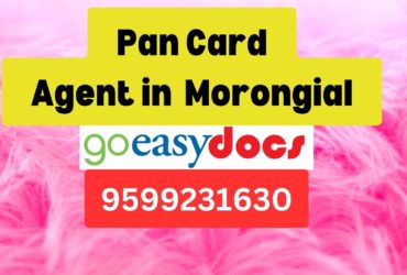 Pan Card Agent Consultant in Morongial  8851415812