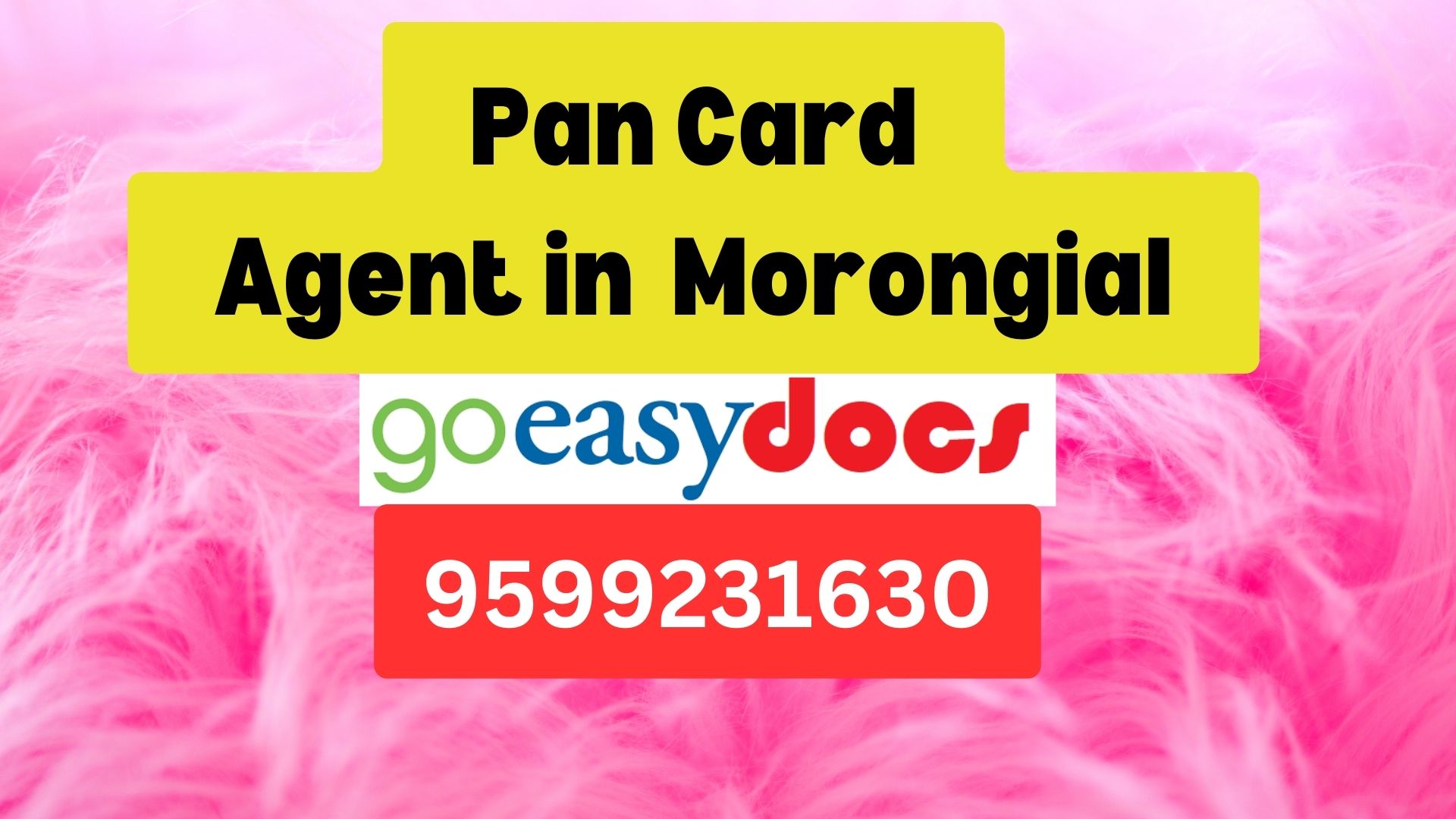 Pan Card Agent Consultant in Morongial  8851415812