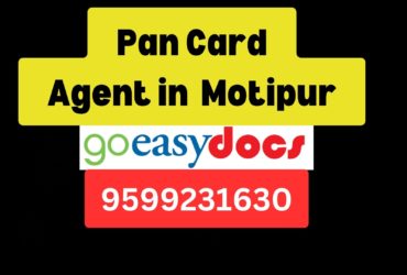 Pan Card Agent Consultant in Motipur  8851415812