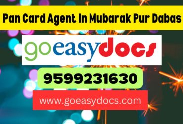 Pan Card Agent Consultant in Mubarak Pur Dabas 8851415812