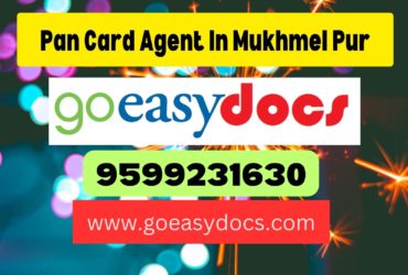 Pan Card Agent Consultant in Mukhmel Pur 8851415812