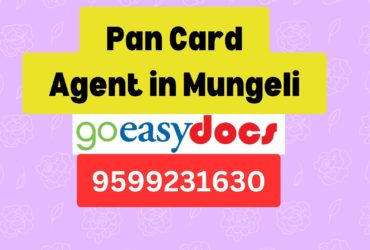 Pan Card Agent Consultant in Mungeli 8851415812