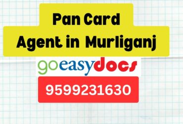 Pan Card Agent Consultant in Murliganj  8851415812