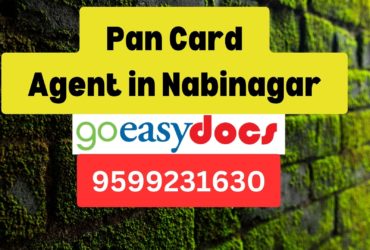 Pan Card Agent Consultant in Nabinagar  8851415812