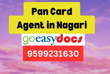 Pan Card Agent Consultant in Nagari 8851415812