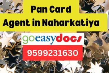 Pan Card Agent Consultant in Naharkatiya  8851415812