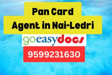 Pan Card Agent Consultant in Nai-Ledri 8851415812