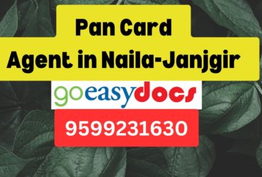 Pan Card Agent Consultant in Naila-Janjgir 8851415812