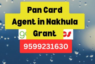 Pan Card Agent Consultant in Nakhula Grant  8851415812