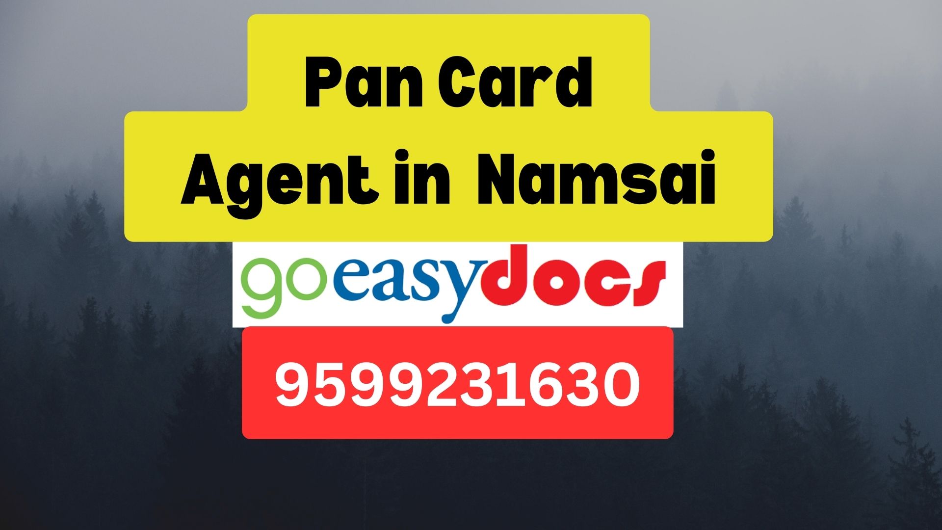 Pan Card Agent Consultant in Namsai  8851415812