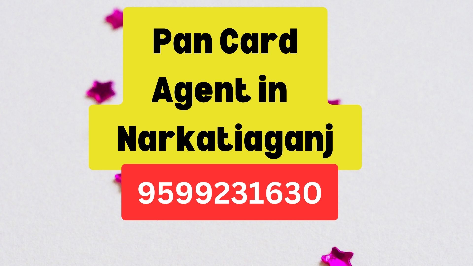 Pan Card Agent Consultant in Narkatiaganj  8851415812