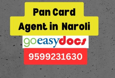 Pan Card Agent Consultant in Naroli 8851415812