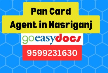 Pan Card Agent Consultant in Nasriganj 8851415812