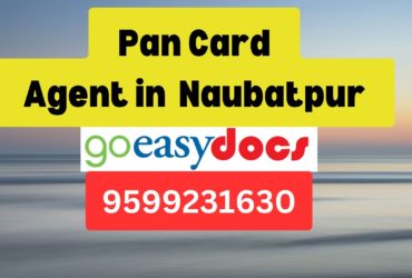 Pan Card Agent Consultant in Naubatpur 8851415812