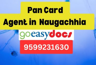 Pan Card Agent Consultant in Naugachhia  8851415812