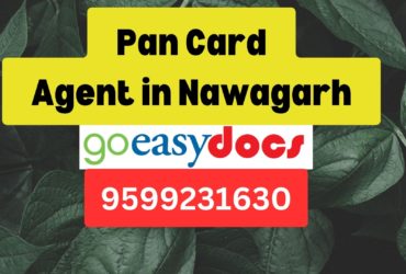 Pan Card Agent Consultant in Nawagarh 8851415812