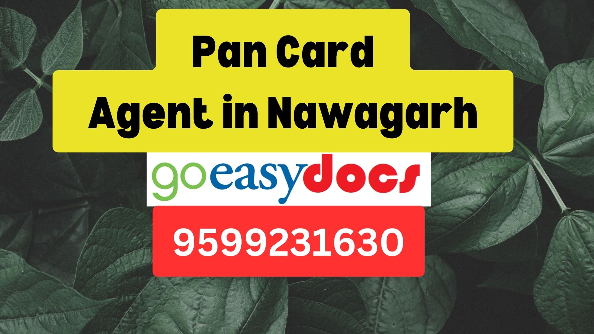 Pan Card Agent Consultant in Nawagarh 8851415812