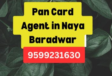 Pan Card Agent Consultant in Naya Baradwar 8851415812