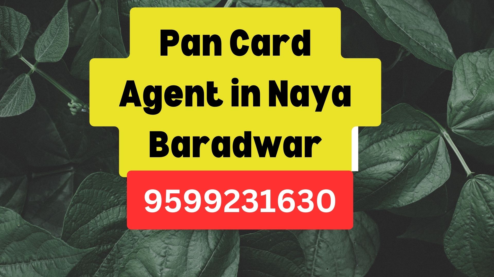 Pan Card Agent Consultant in Naya Baradwar 8851415812