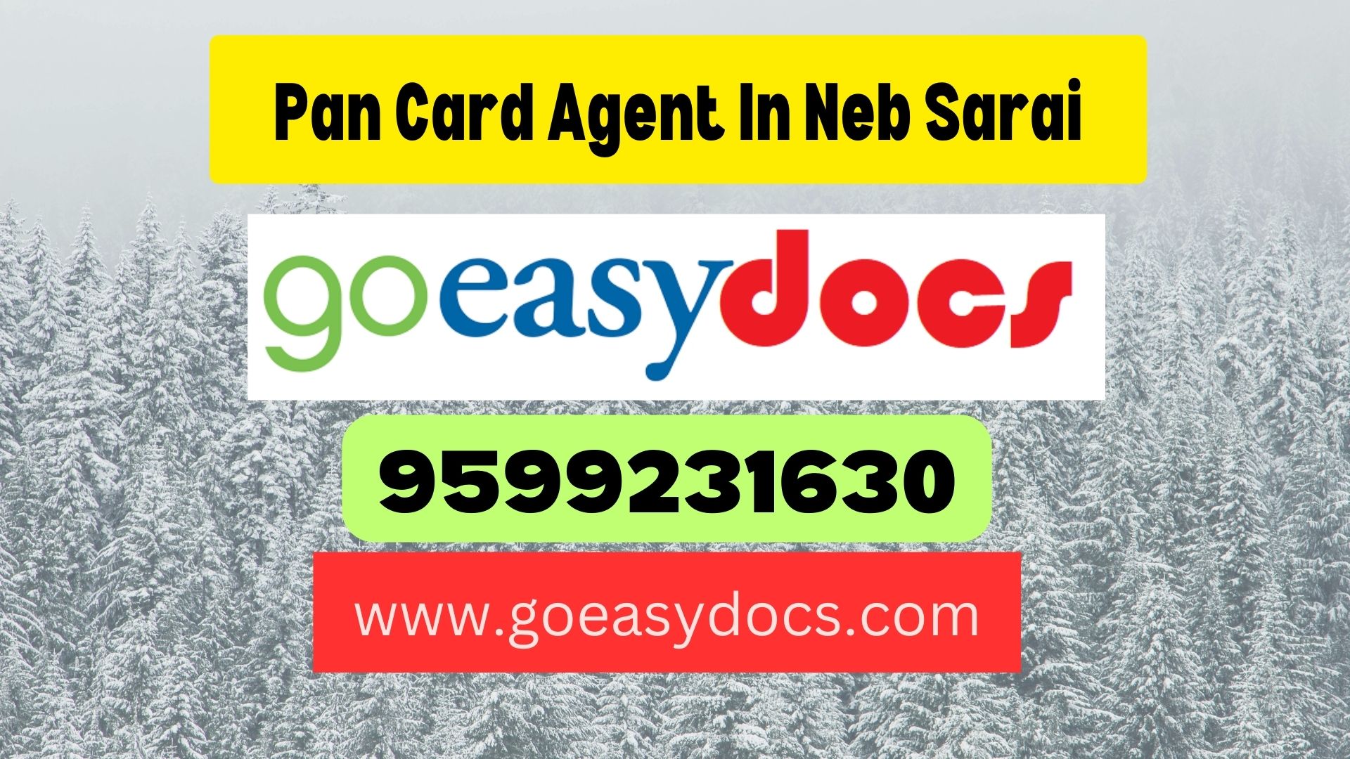 Pan Card Agent Consultant in Neb Sarai 8851415812