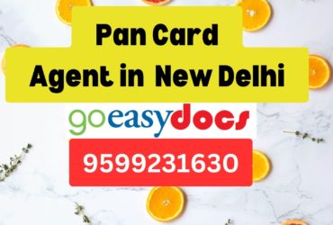 Pan Card Agent Consultant in New Delhi 8851415812