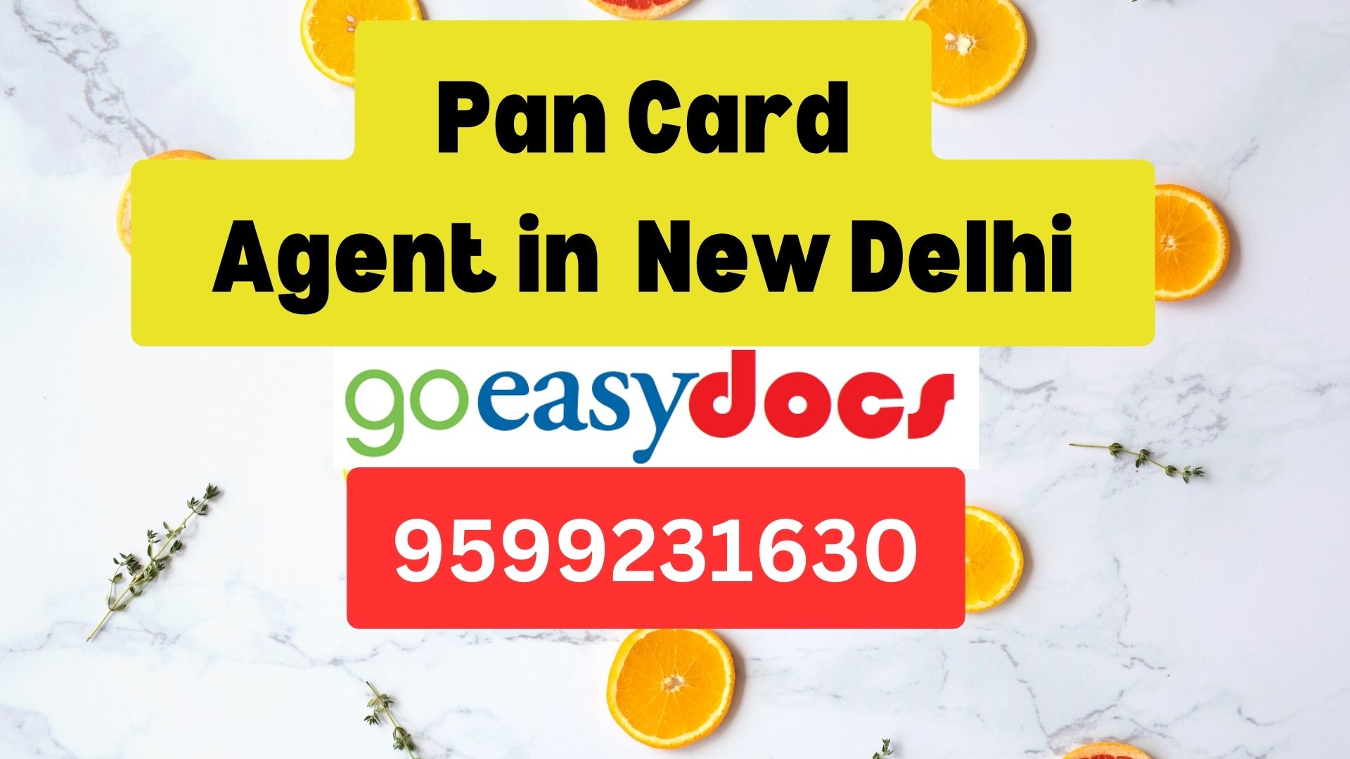 Pan Card Agent Consultant in New Delhi 8851415812