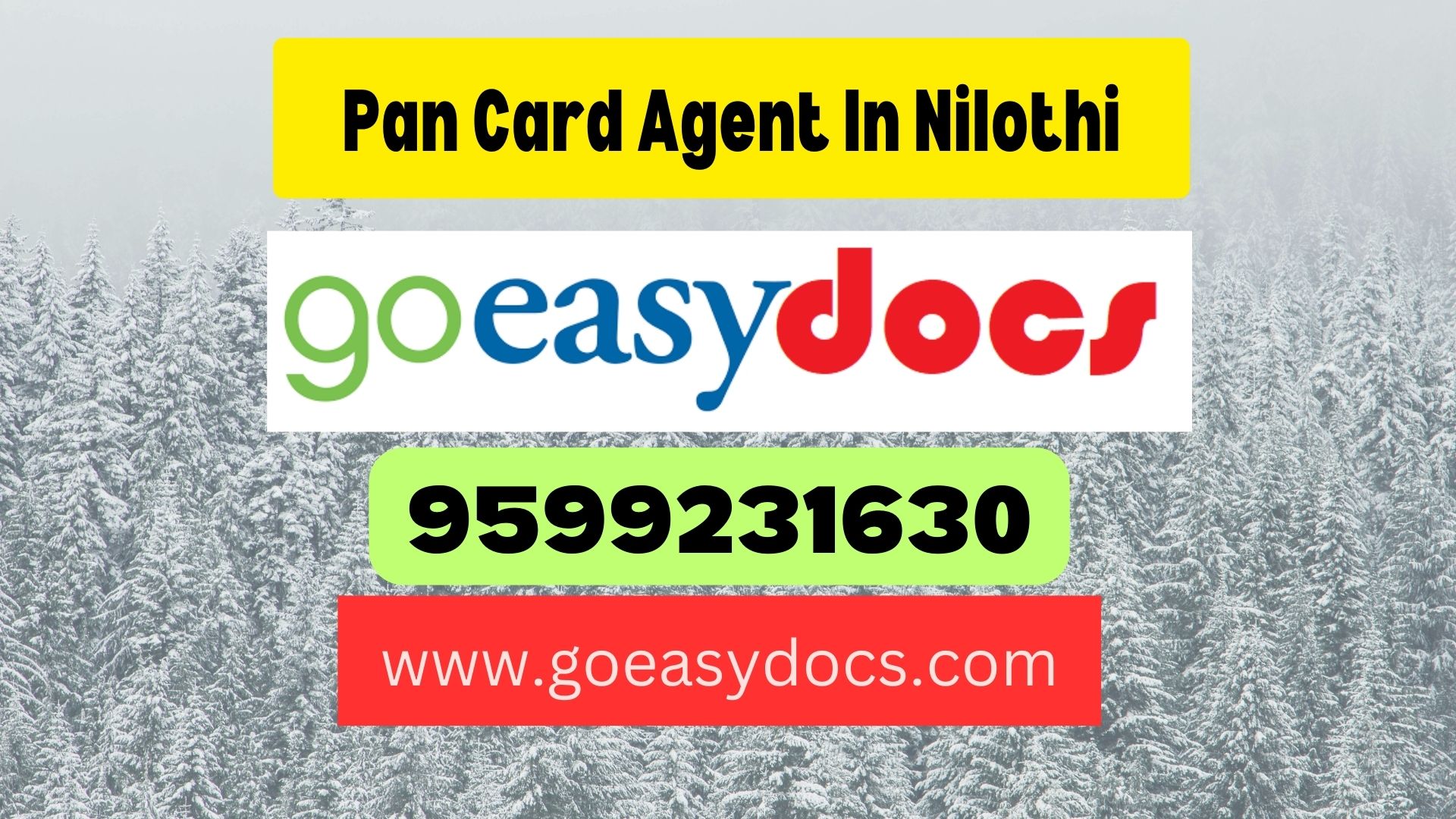 Pan Card Agent Consultant in Nilothi 8851415812