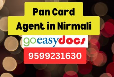 Pan Card Agent Consultant in Nirmali 8851415812