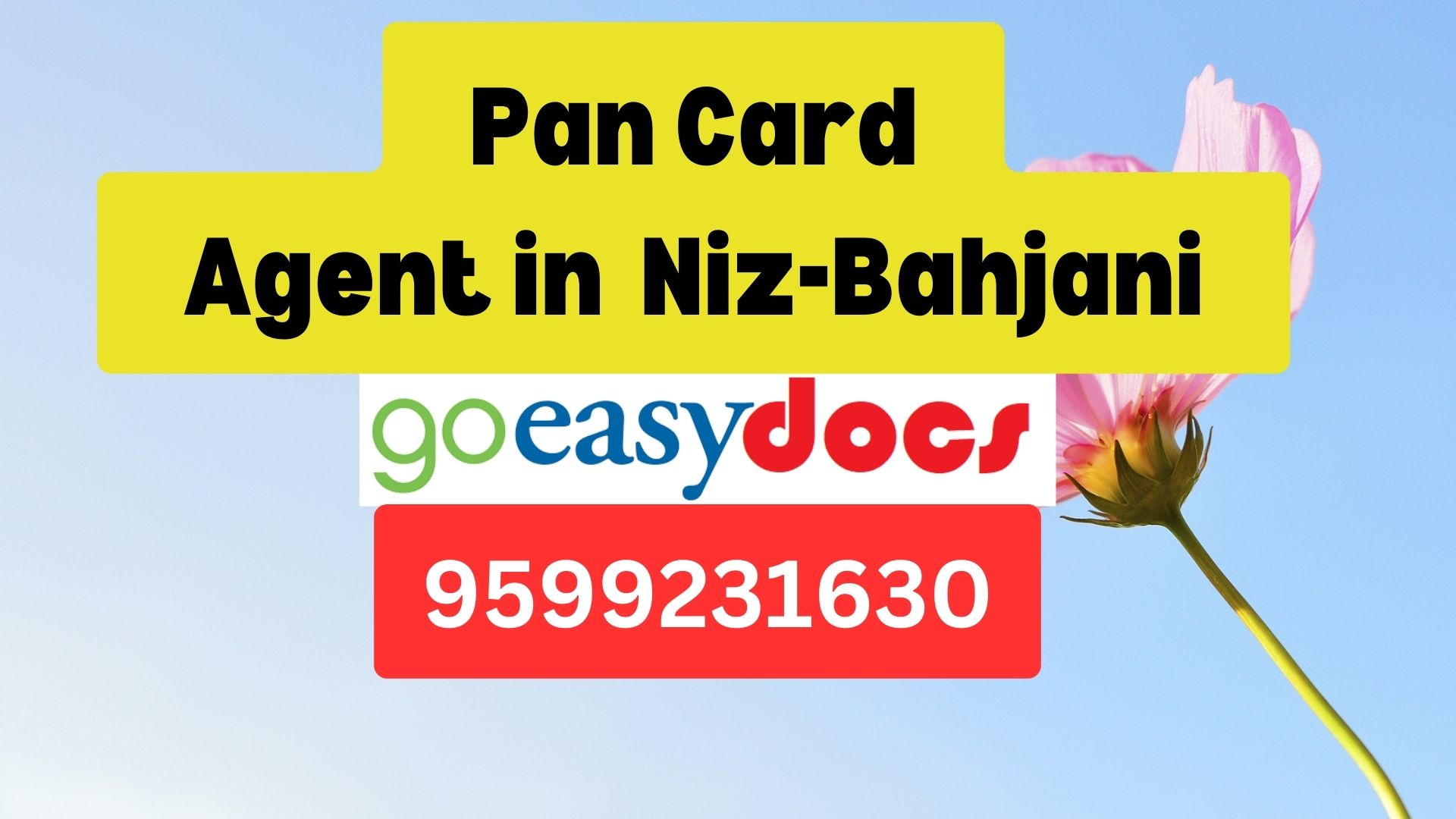 Pan Card Agent Consultant in Niz-Bahjani  8851415812