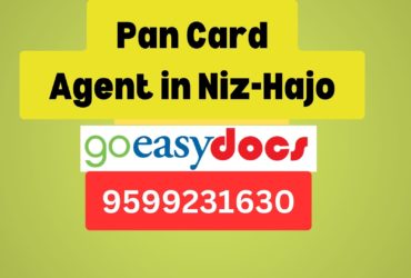 Pan Card Agent Consultant in Niz-Hajo  8851415812