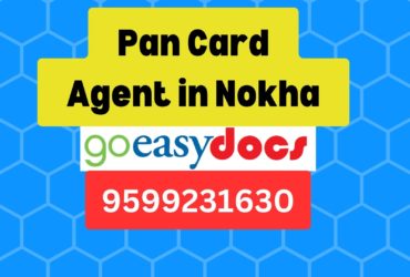 Pan Card Agent Consultant in Nokha 8851415812