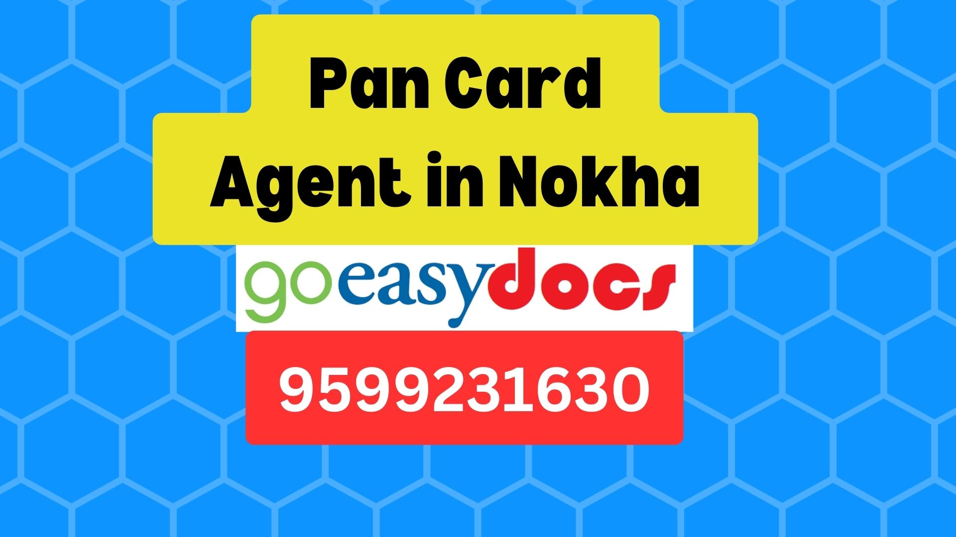 Pan Card Agent Consultant in Nokha 8851415812