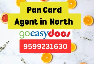 Pan Card Agent Consultant in North 8851415812