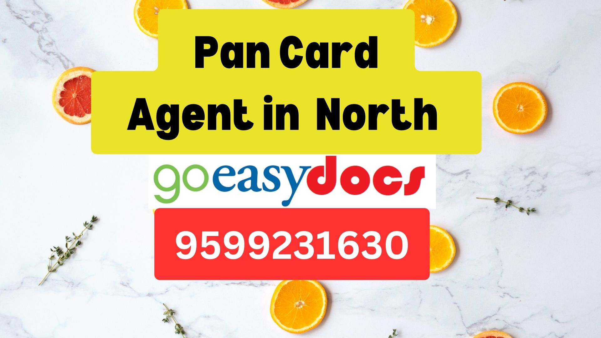 Pan Card Agent Consultant in North 8851415812