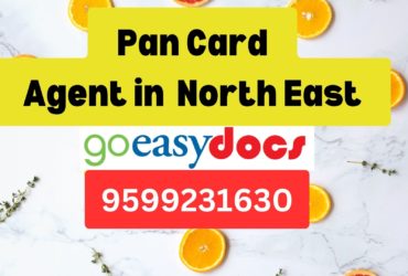 Pan Card Agent Consultant in North East 8851415812