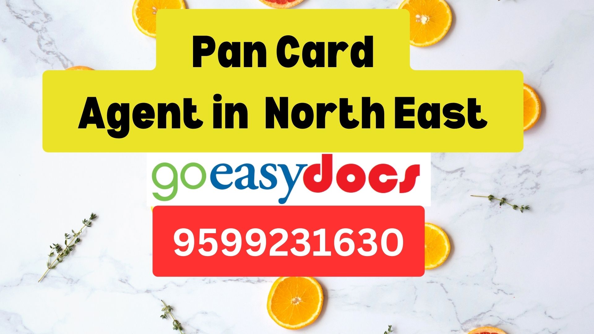 Pan Card Agent Consultant in North East 8851415812