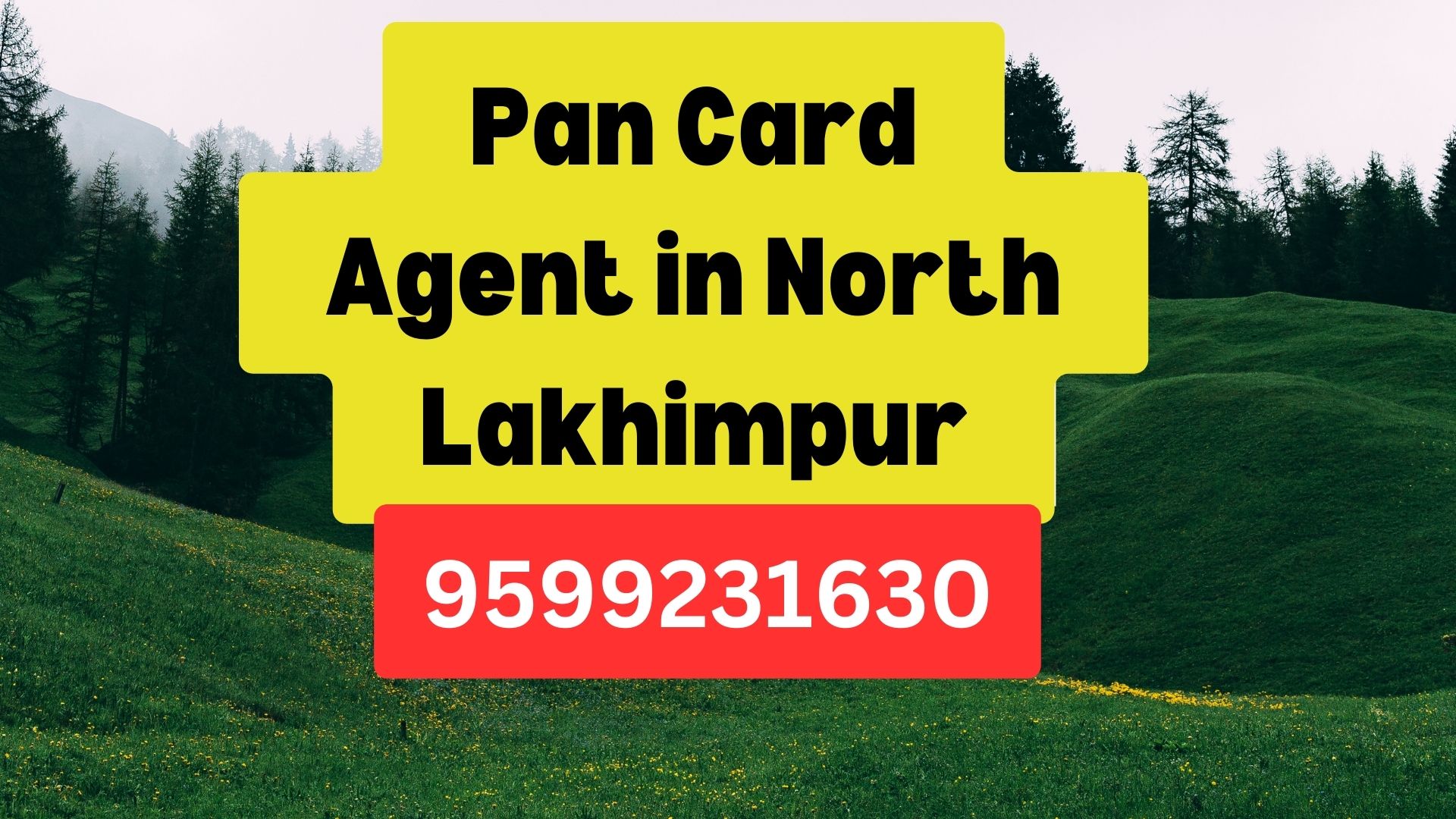 Pan Card Agent Consultant in North Lakhimpur  8851415812