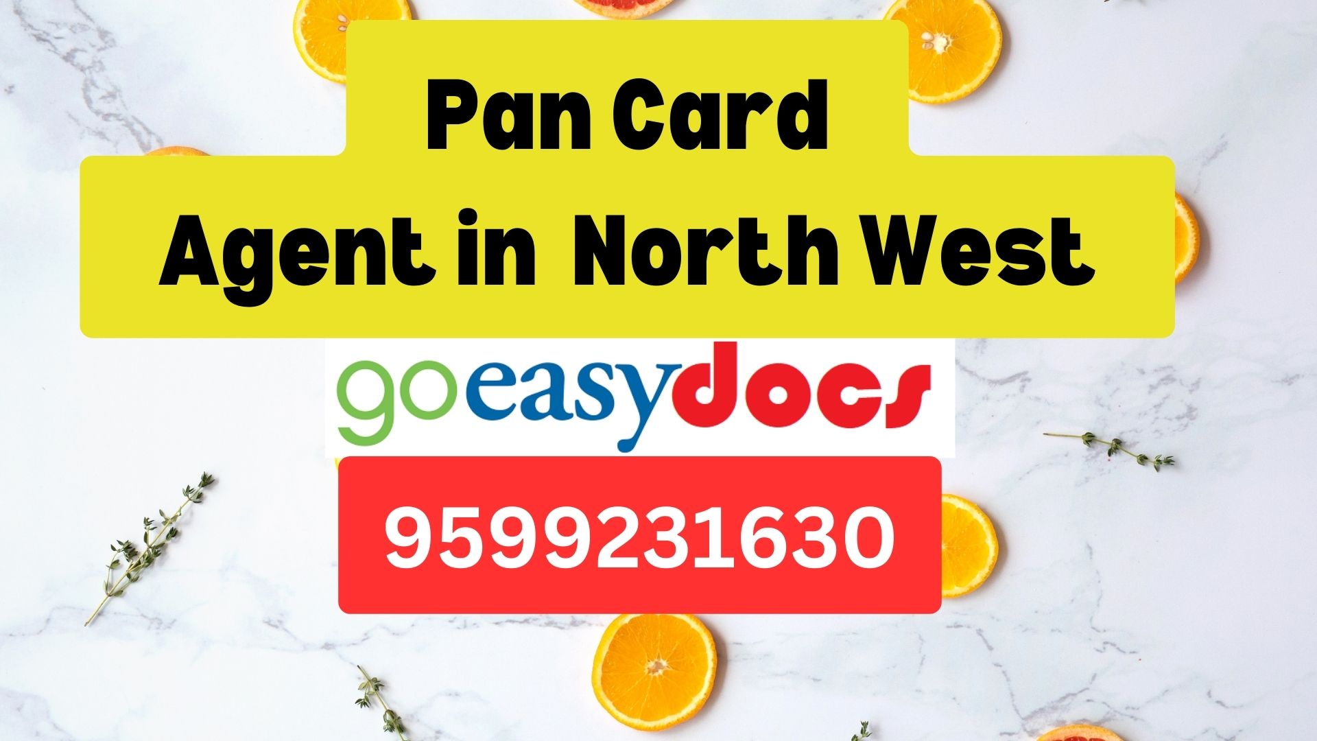 Pan Card Agent Consultant in North West 8851415812