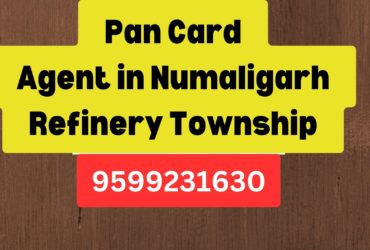 Pan Card Agent Consultant in Numaligarh Refinery Township  8851415812