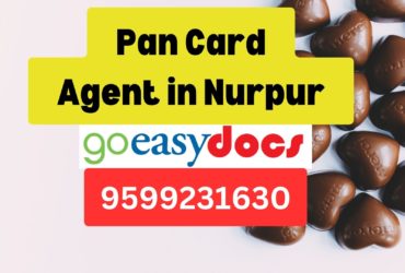 Pan Card Agent Consultant in Nurpur  8851415812