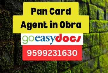 Pan Card Agent Consultant in Obra  8851415812