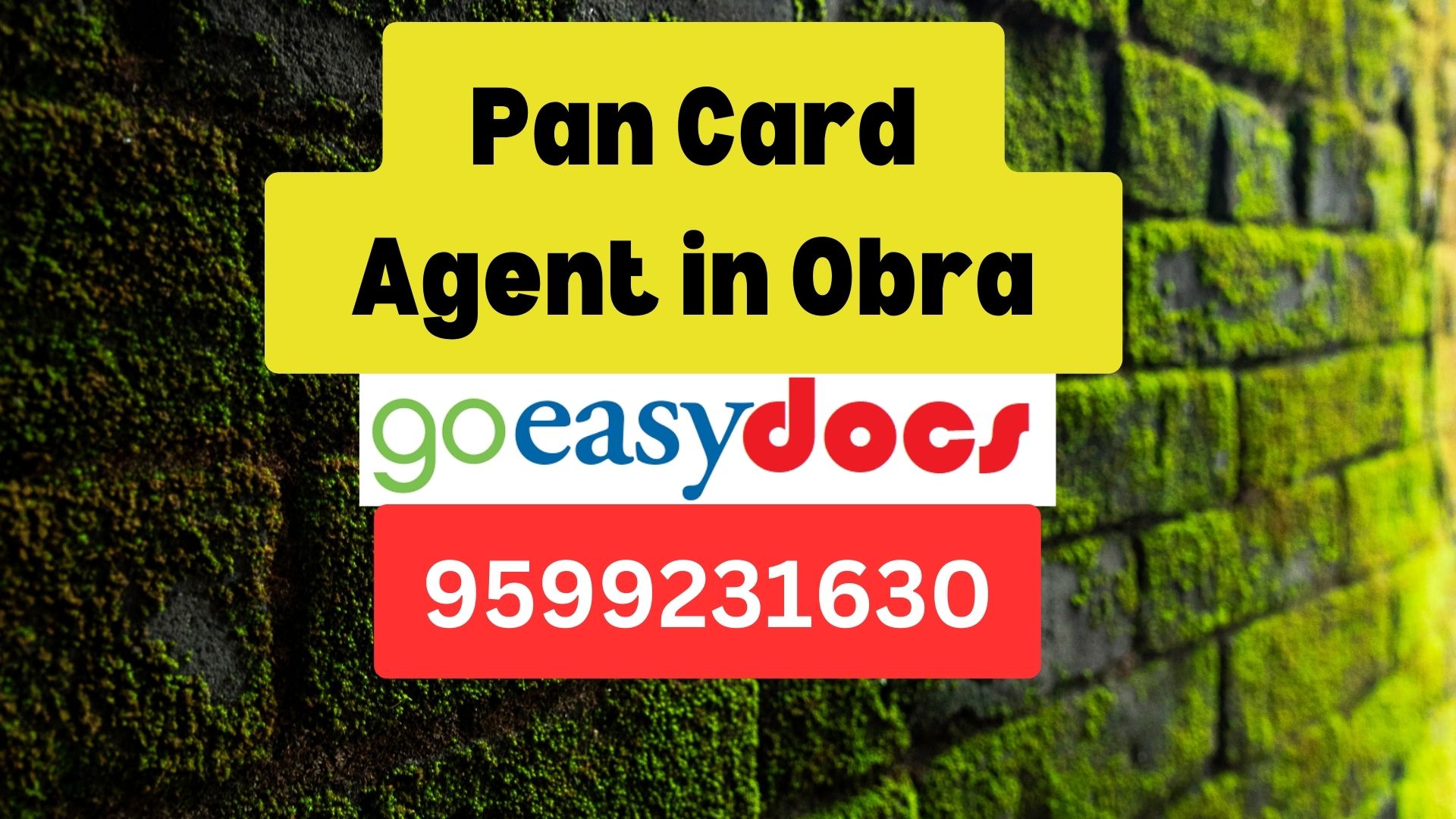 Pan Card Agent Consultant in Obra  8851415812