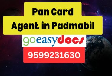 Pan Card Agent Consultant in Padmabil  8851415812