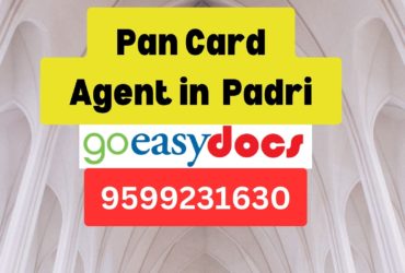 Pan Card Agent Consultant in Padri  8851415812